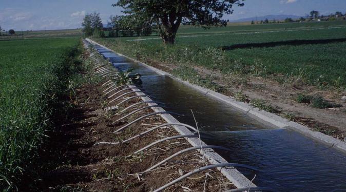 Système d’irrigation de surface utilisant des tubes à siphon, Wikimedia