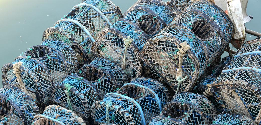 Fabrication et vente de filets de pêche bassin d arcachon Mondiet pêche -  Grossiste en produits d'hygiène et entretien - Best Hygiène