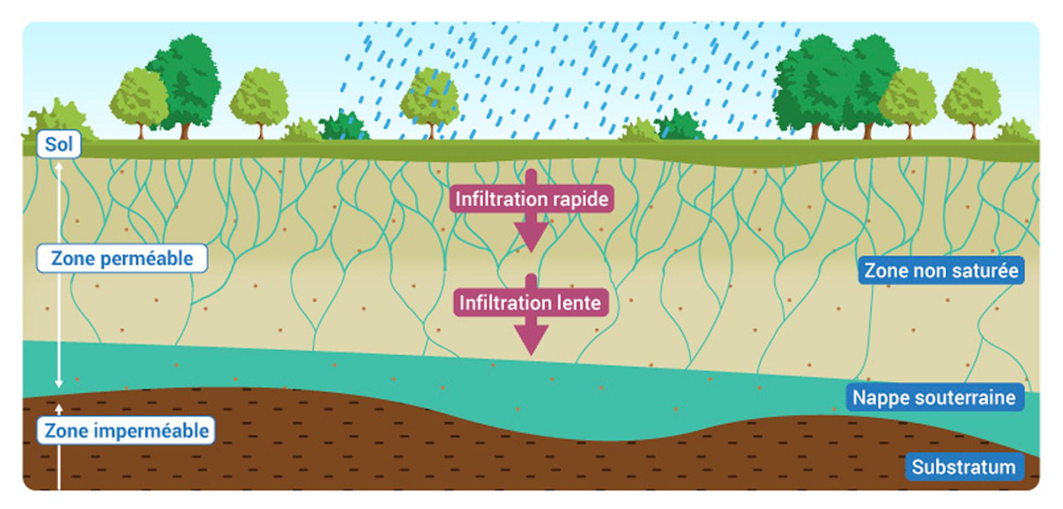 Les Eaux Souterraines, Des Systèmes Dynamiques | Eaufrance