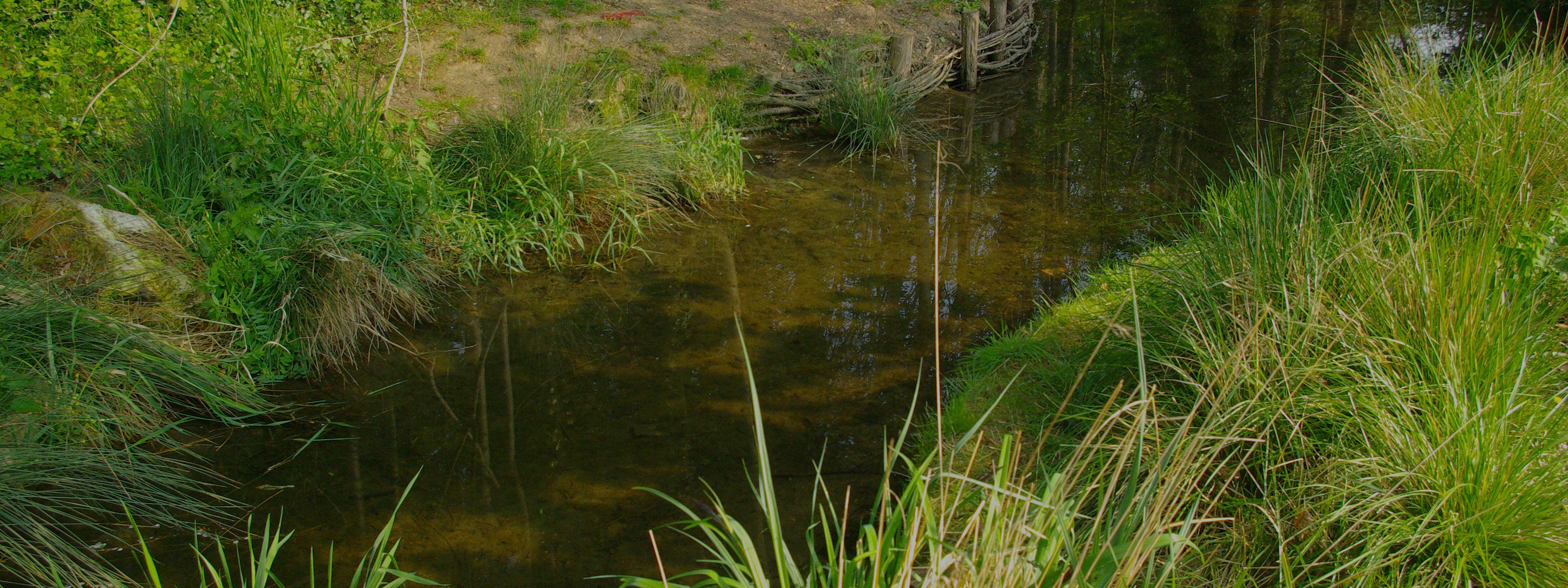 Restauration des berges suite à la réouverture de la Brétonnière, affluent de l'Orge