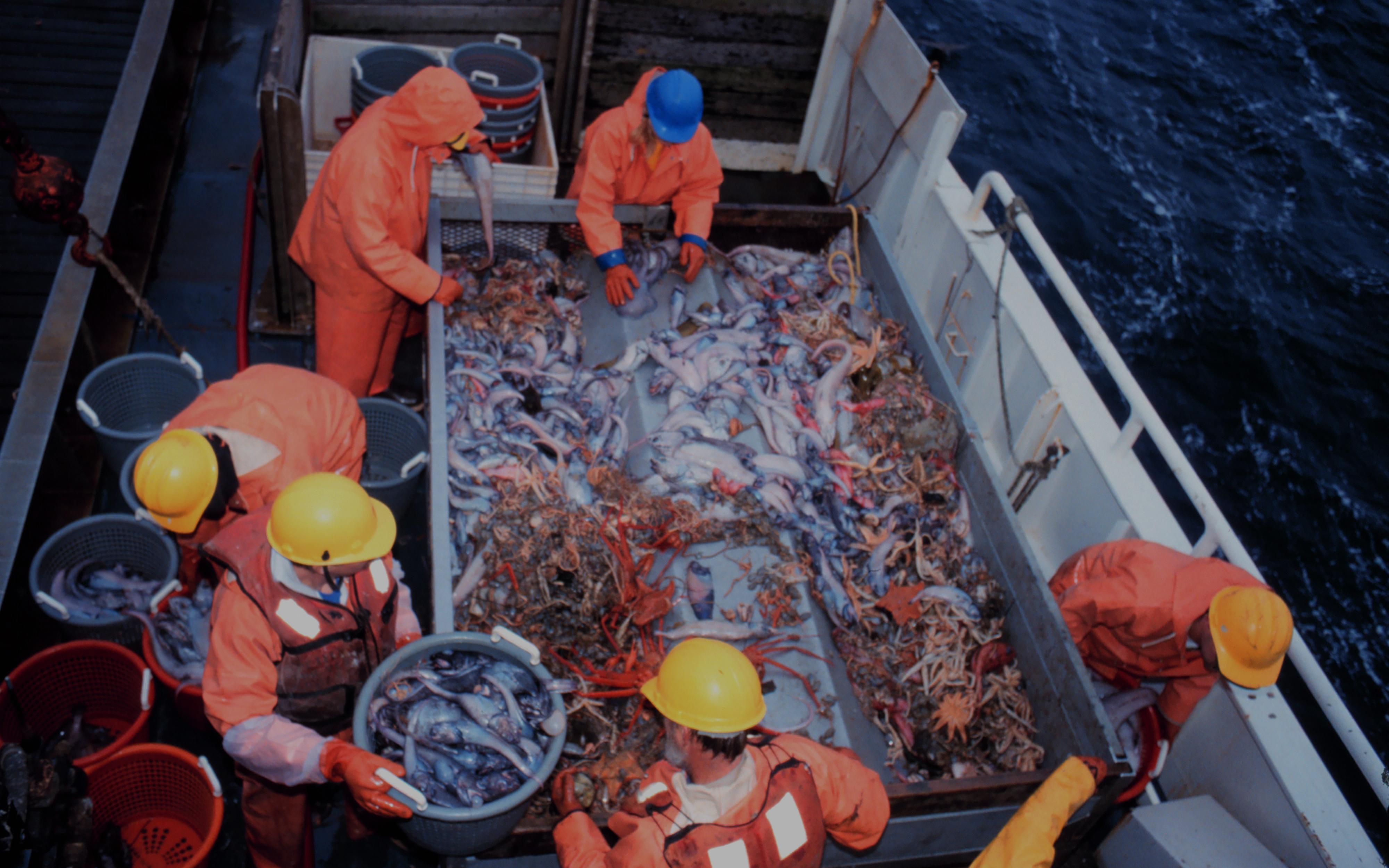 Industriels et pêcheurs : c'est quoi de l'eau de mer propre ? • Oméni