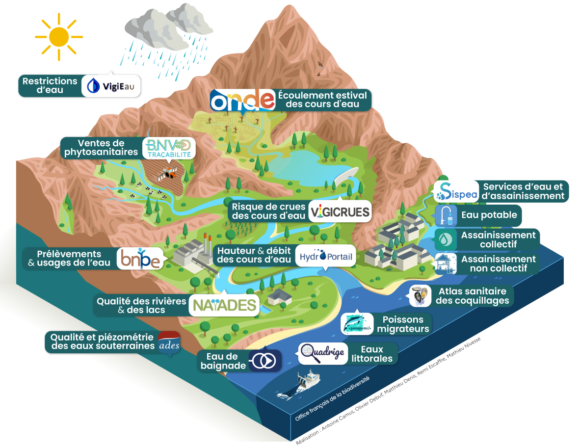 coupe donnees rbt coupe donnees rbt 2025