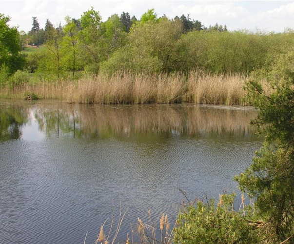 image d'accueil image d'accueil