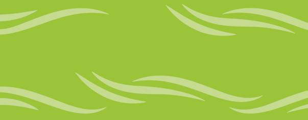 cadre vert mise en avant vert